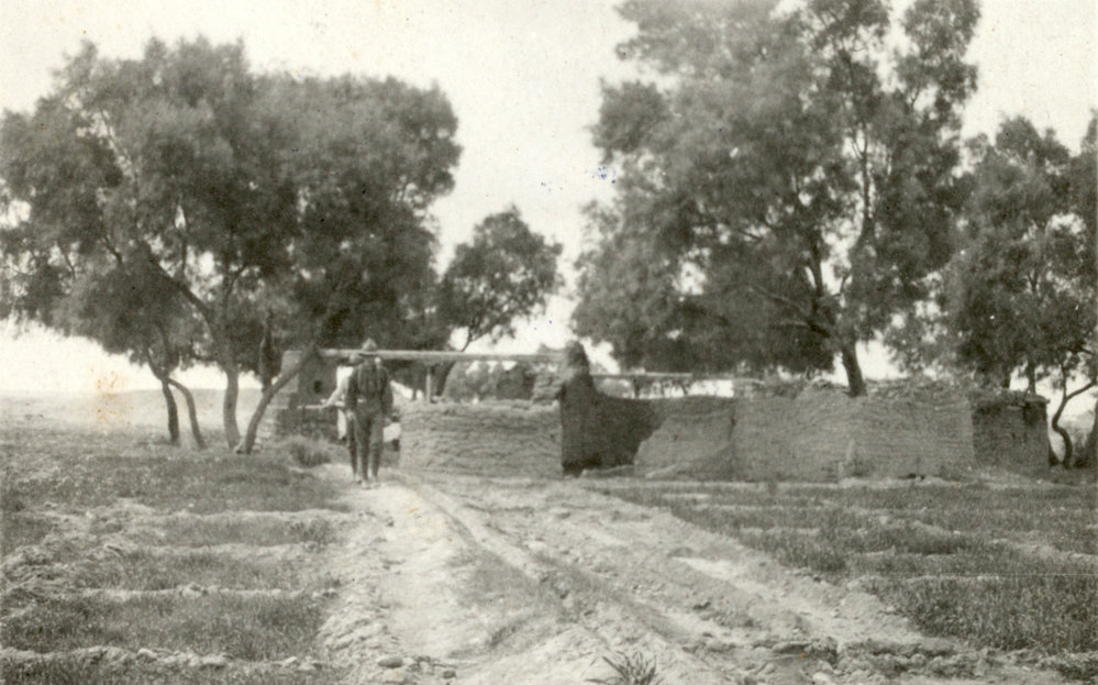 Photo from page 19 of album WWI Photograph Album- Egypt and Gallipoli.