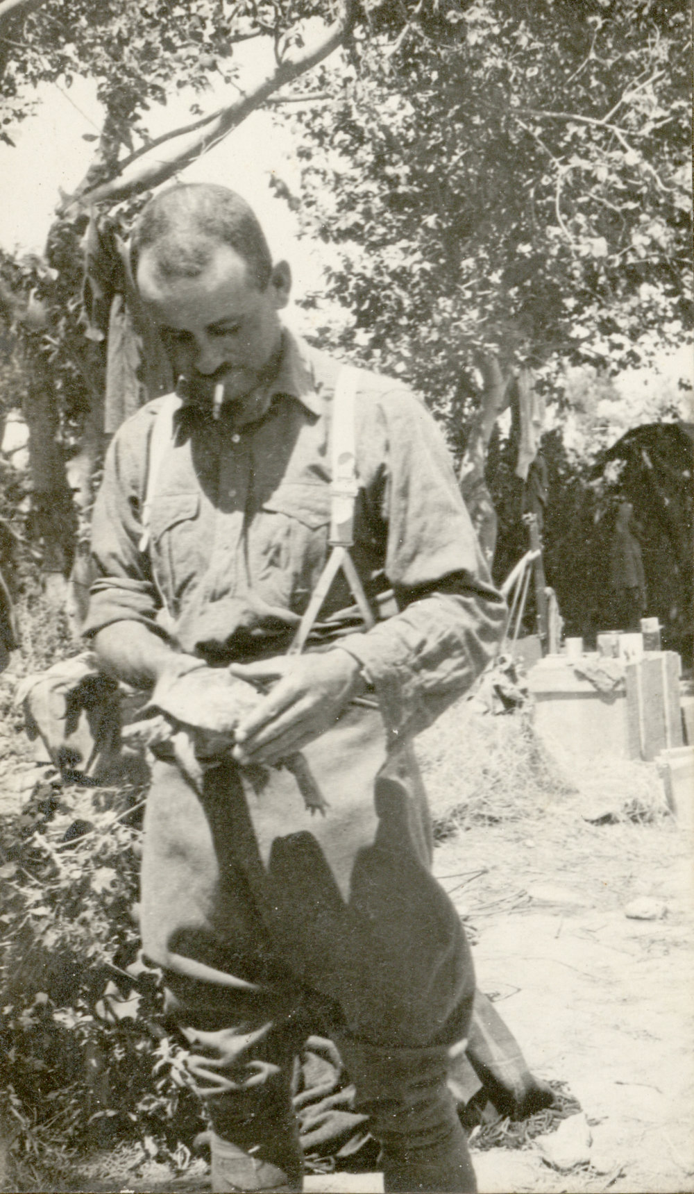 Photo from page 20 of album WWI Photograph Album- Egypt and Gallipoli.