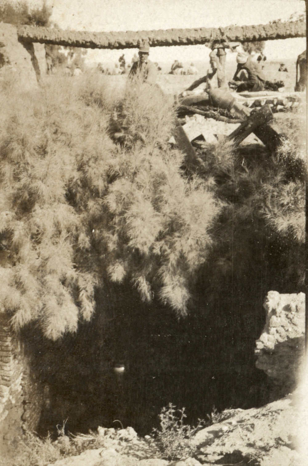 Photo from page 22 of album WWI Photograph Album- Egypt and Gallipoli.
