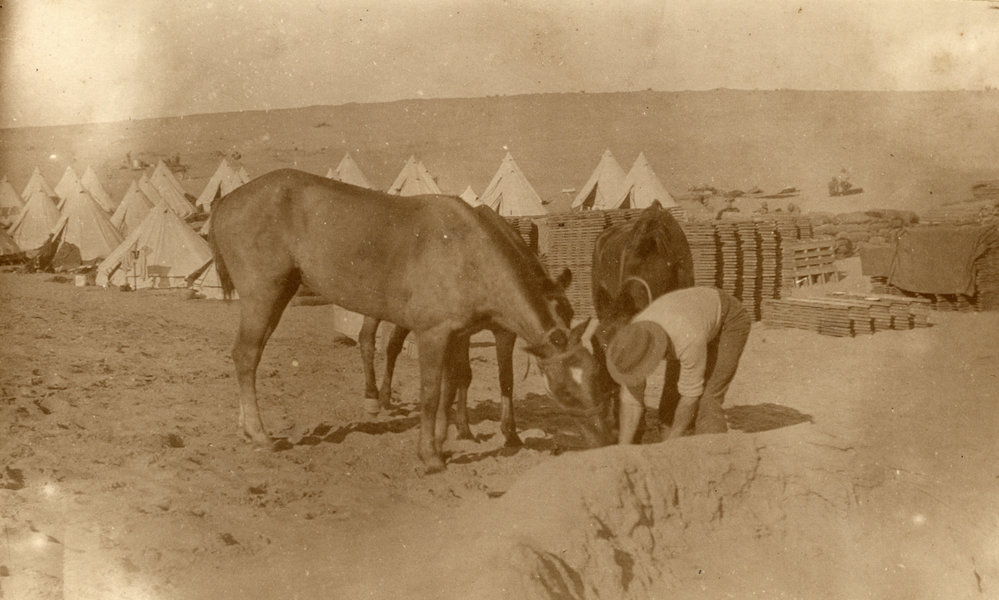 Photo from page 22 of album WWI Photograph Album- England, Egypt, Gallipoli and Western Front.
