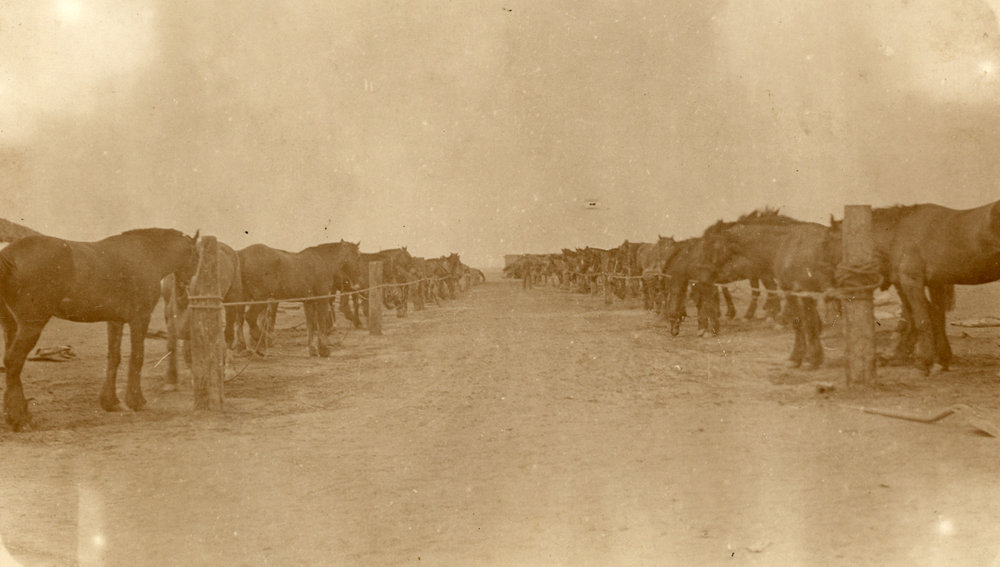 Photo from page 24 of album WWI Photograph Album- England, Egypt, Gallipoli and Western Front.