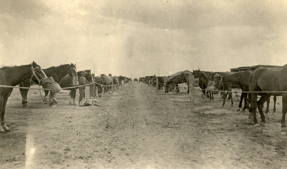 Photo from page 25 of album WWI Photograph Album- England, Egypt, Gallipoli and Western Front.