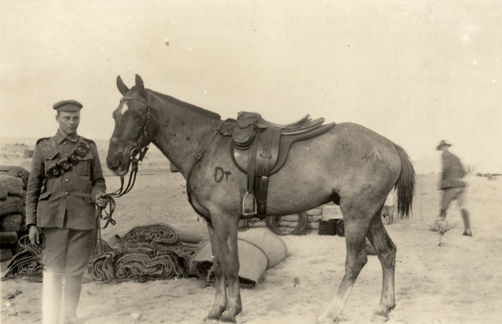 Photo from page 27 of album WWI Photograph Album- England, Egypt, Gallipoli and Western Front.