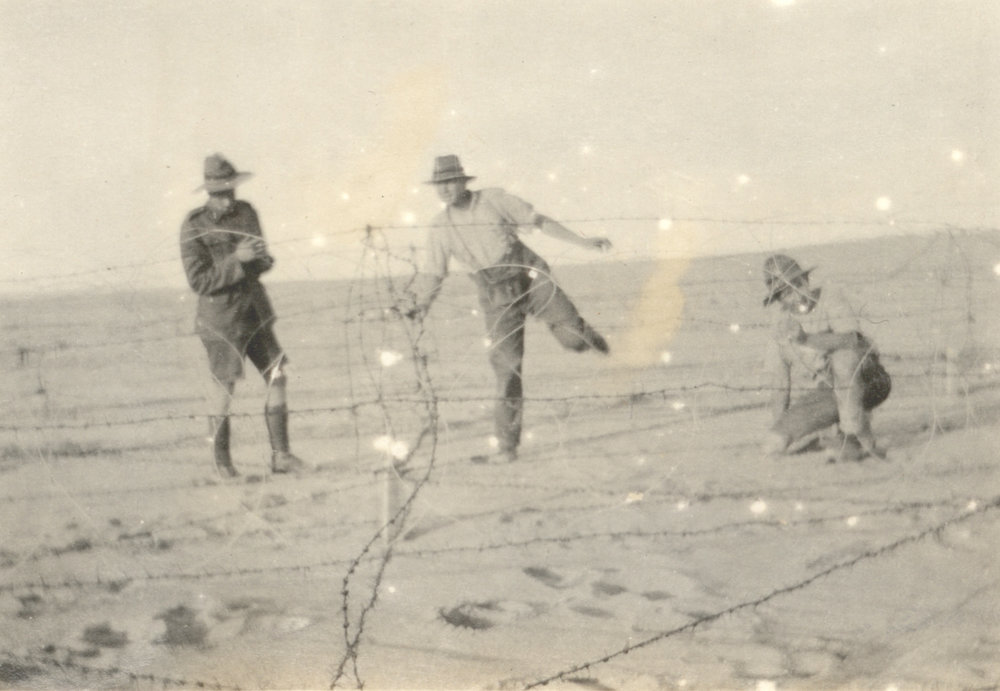 Photo from page 29 of album WWI Photograph Album- England, Egypt, Gallipoli and Western Front.