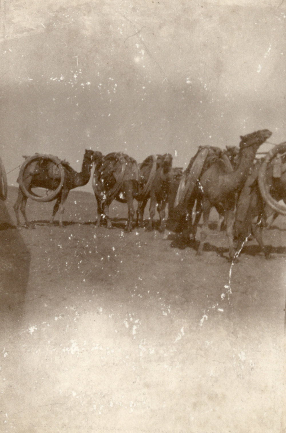 Photo from page 29 of album WWI Photograph Album- England, Egypt, Gallipoli and Western Front.