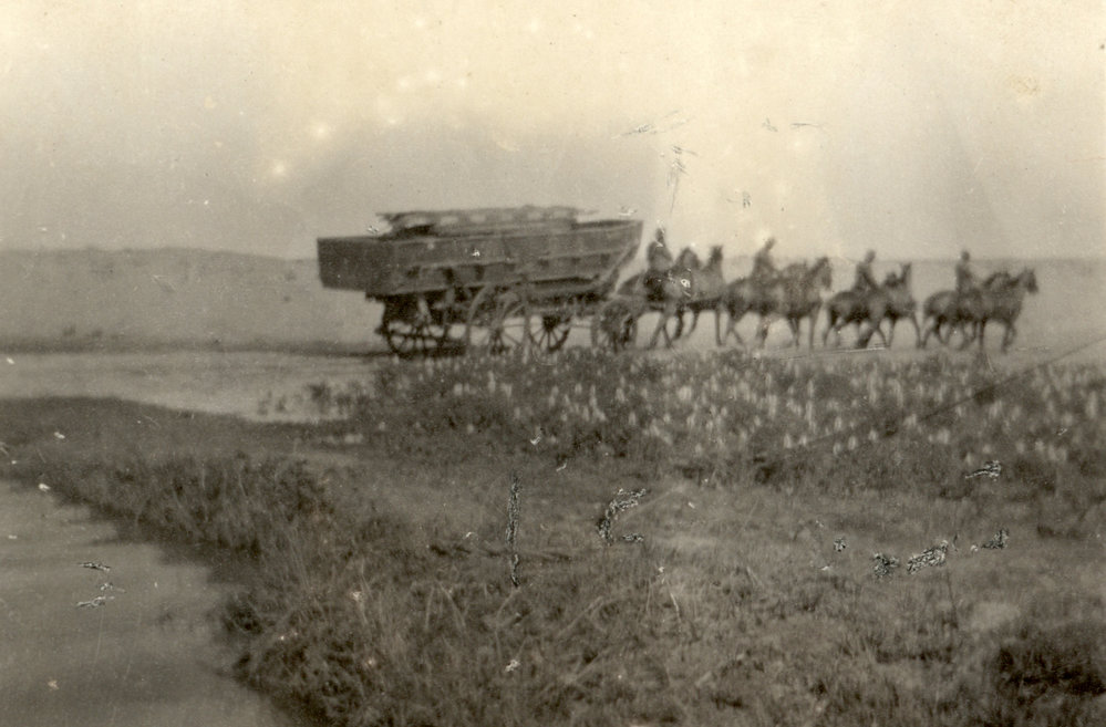 Photo from page 30 of album WWI Photograph Album- England, Egypt, Gallipoli and Western Front.
