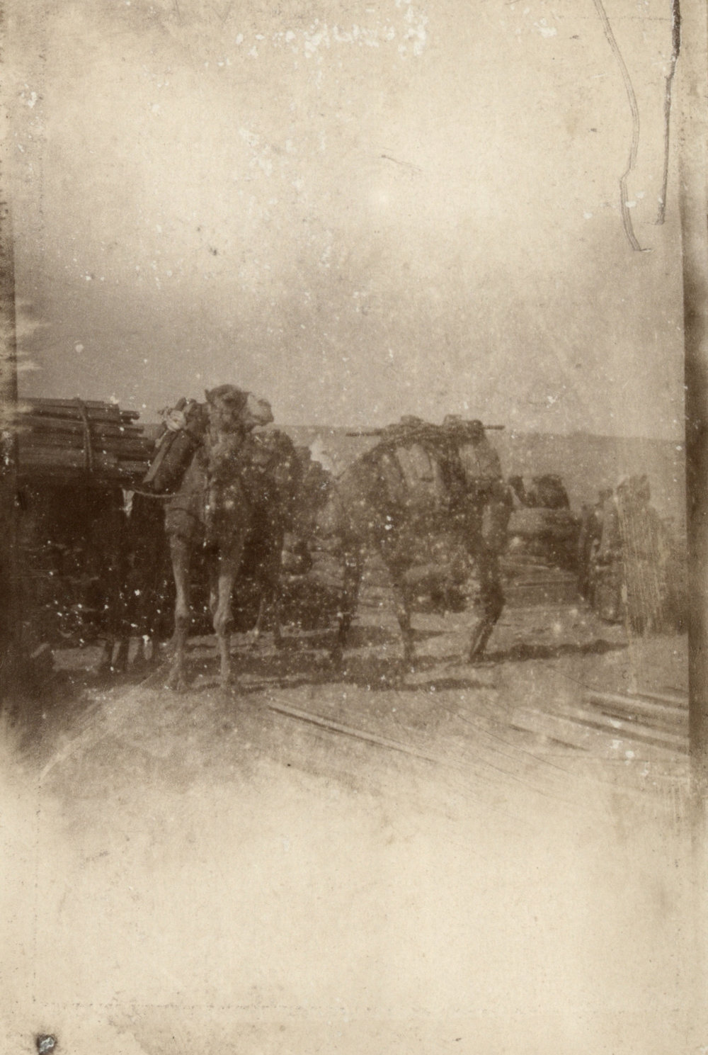 Photo from page 30 of album WWI Photograph Album- England, Egypt, Gallipoli and Western Front.