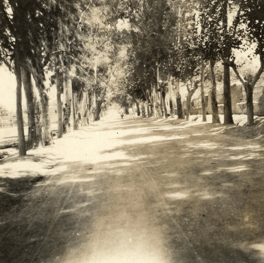 Photo from page 38 of album WWI Photograph Album- England, Egypt, Gallipoli and Western Front.