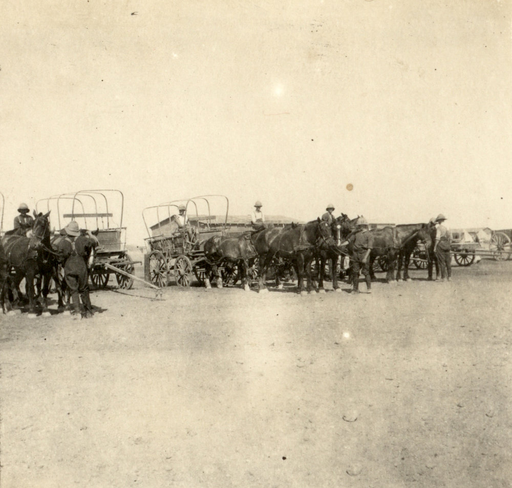 Photo from page 38 of album WWI Photograph Album- England, Egypt, Gallipoli and Western Front.