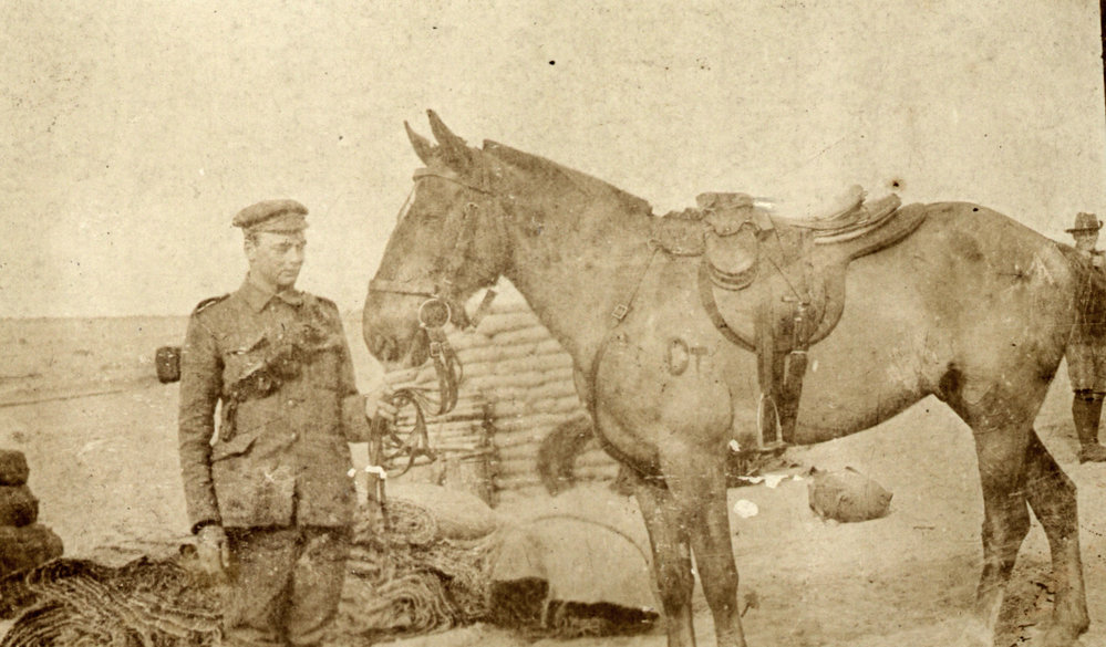 Photo from page 39 of album WWI Photograph Album- England, Egypt, Gallipoli and Western Front.