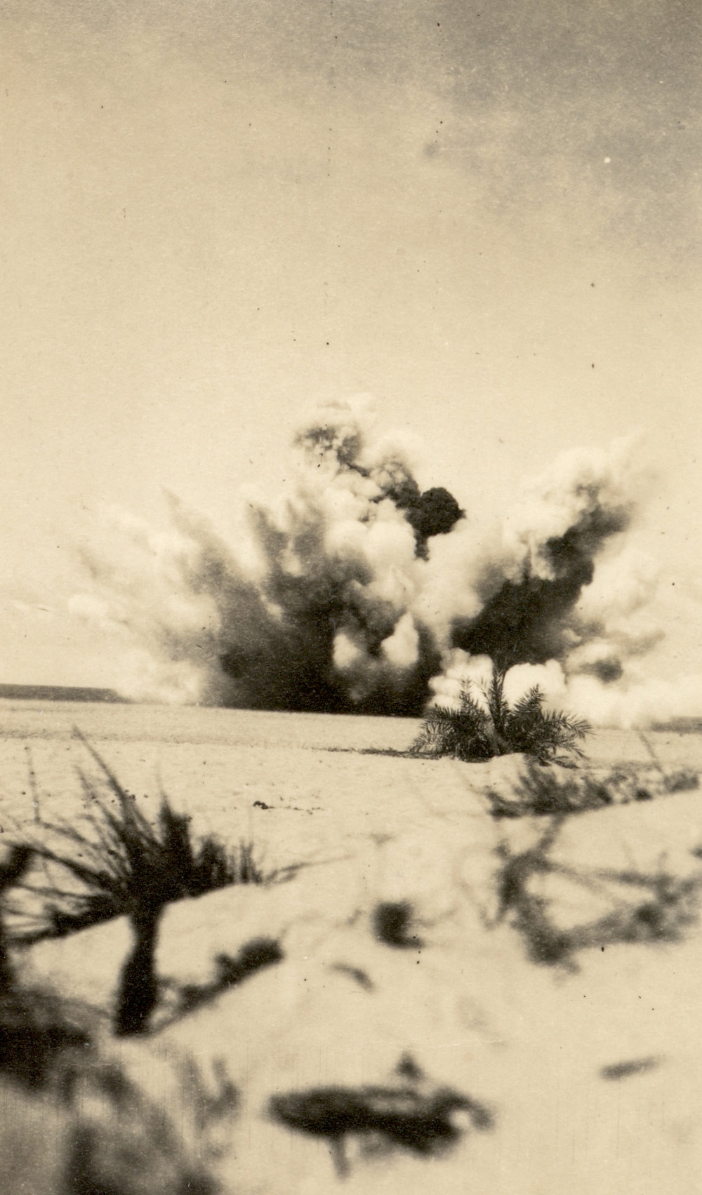 Photo from page 40 of album WWI Photograph Album- England, Egypt, Gallipoli and Western Front.