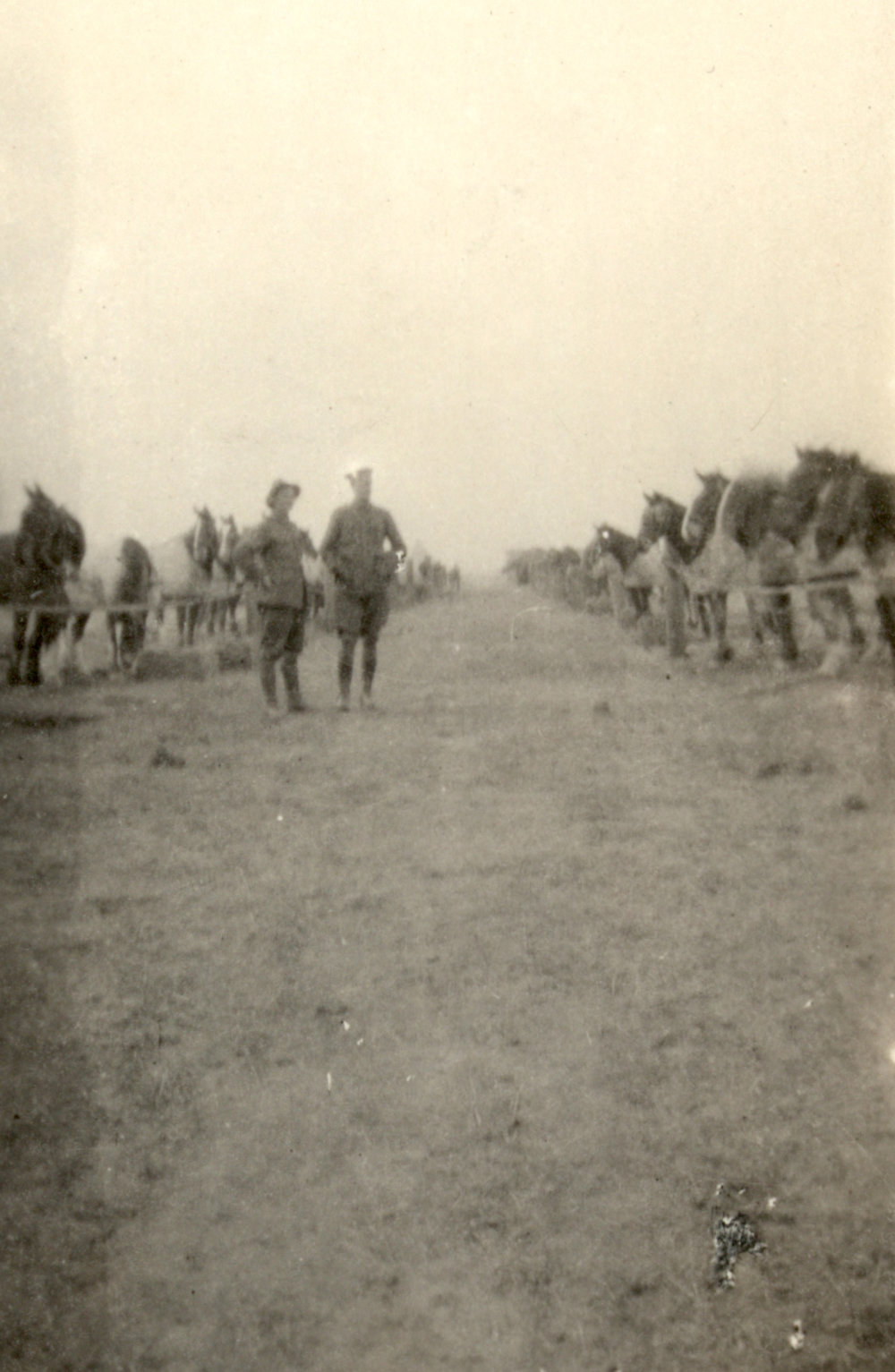 Photo from page 40 of album WWI Photograph Album- England, Egypt, Gallipoli and Western Front.
