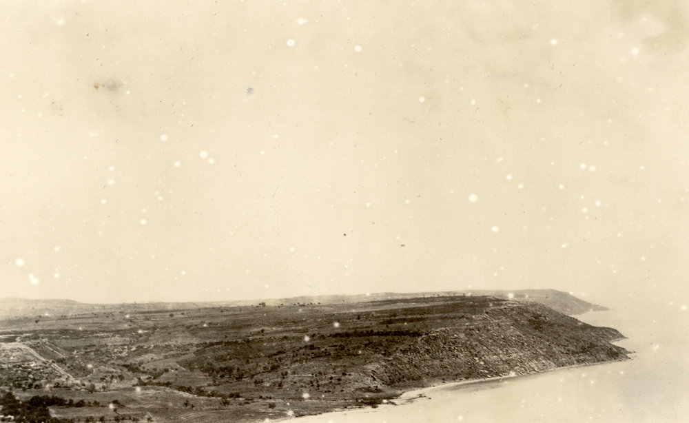 Photo from page 42 of album WWI Photograph Album- England, Egypt, Gallipoli and Western Front.