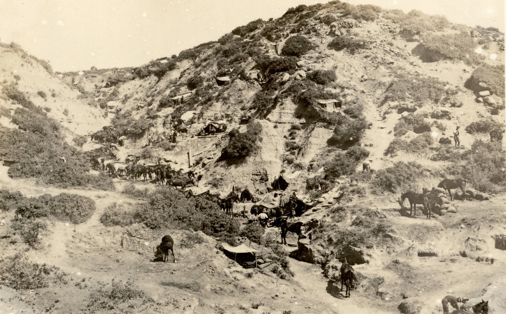 Photo from page 48 of album WWI Photograph Album- England, Egypt, Gallipoli and Western Front.