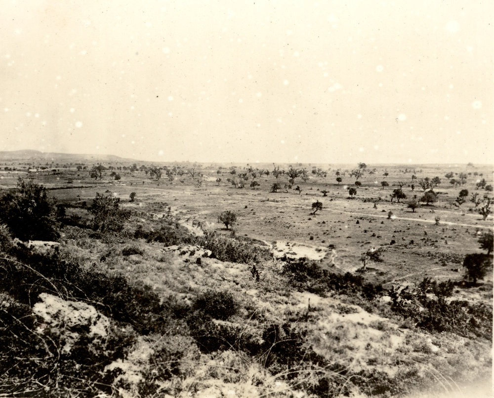 Photo from page 49 of album WWI Photograph Album- England, Egypt, Gallipoli and Western Front.