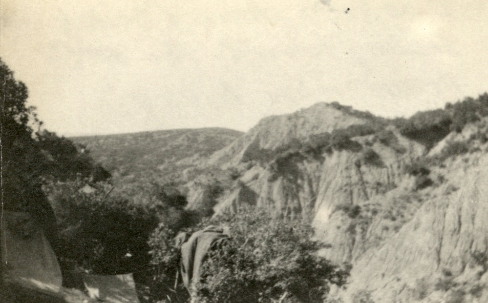 Photo from page 52 of album WWI Photograph Album- England, Egypt, Gallipoli and Western Front.