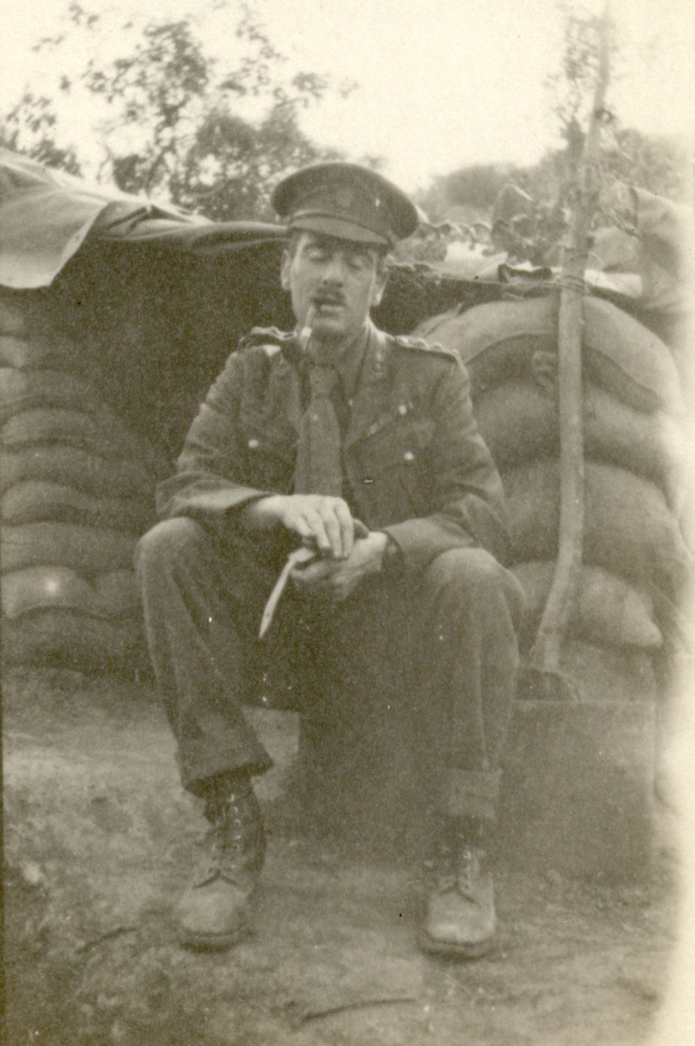 Photo from page 52 of album WWI Photograph Album- England, Egypt, Gallipoli and Western Front.