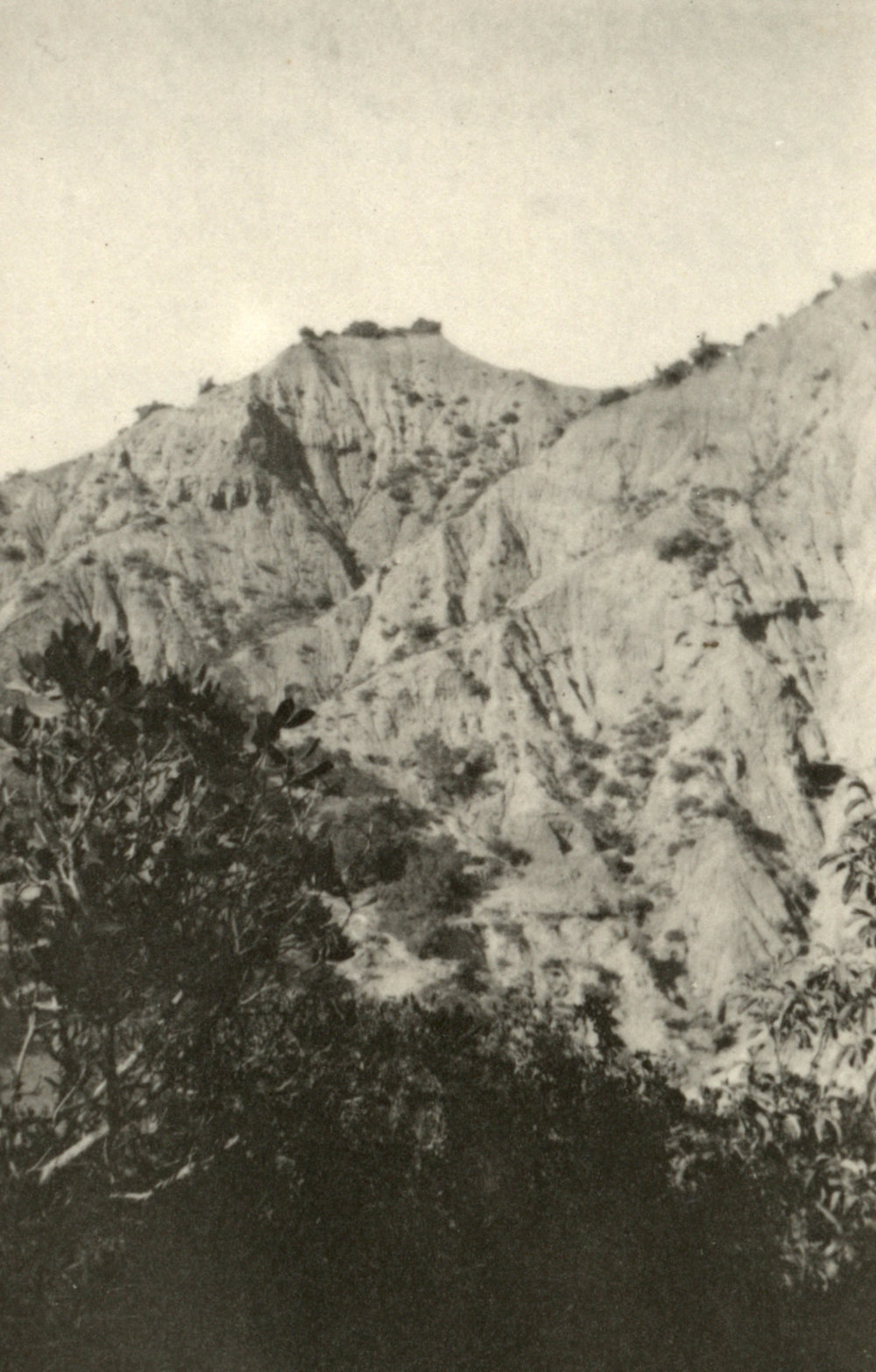 Photo from page 53 of album WWI Photograph Album- England, Egypt, Gallipoli and Western Front.