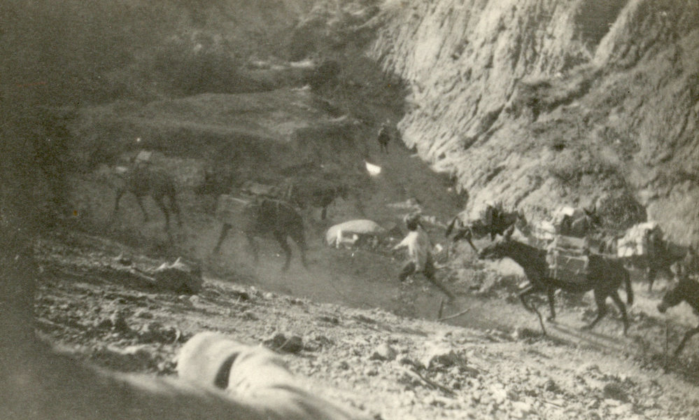 Photo from page 53 of album WWI Photograph Album- England, Egypt, Gallipoli and Western Front.