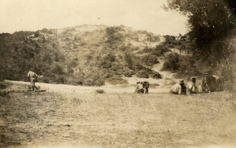 Photo from page 54 of album WWI Photograph Album- England, Egypt, Gallipoli and Western Front.