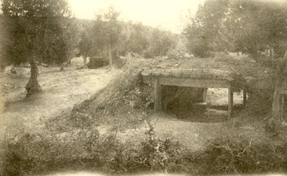 Photo from page 54 of album WWI Photograph Album- England, Egypt, Gallipoli and Western Front.
