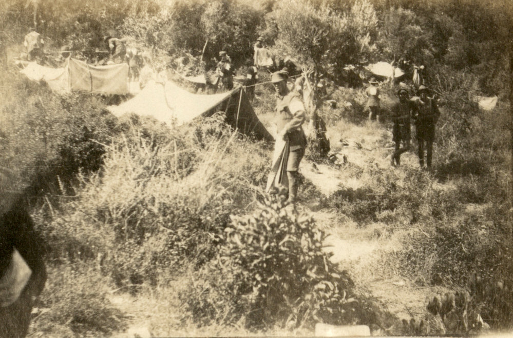 Photo from page 54 of album WWI Photograph Album- England, Egypt, Gallipoli and Western Front.