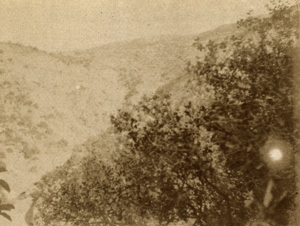 Photo from page 55 of album WWI Photograph Album- England, Egypt, Gallipoli and Western Front.