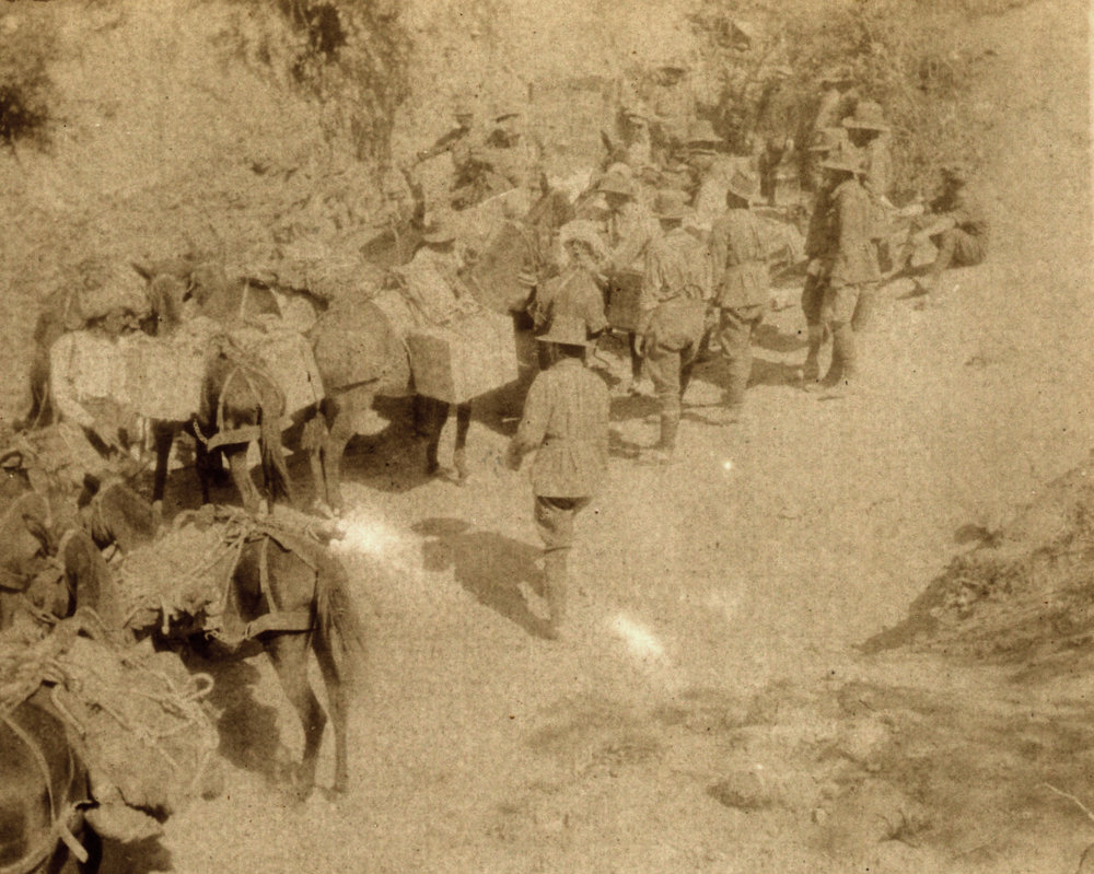 Photo from page 55 of album WWI Photograph Album- England, Egypt, Gallipoli and Western Front.