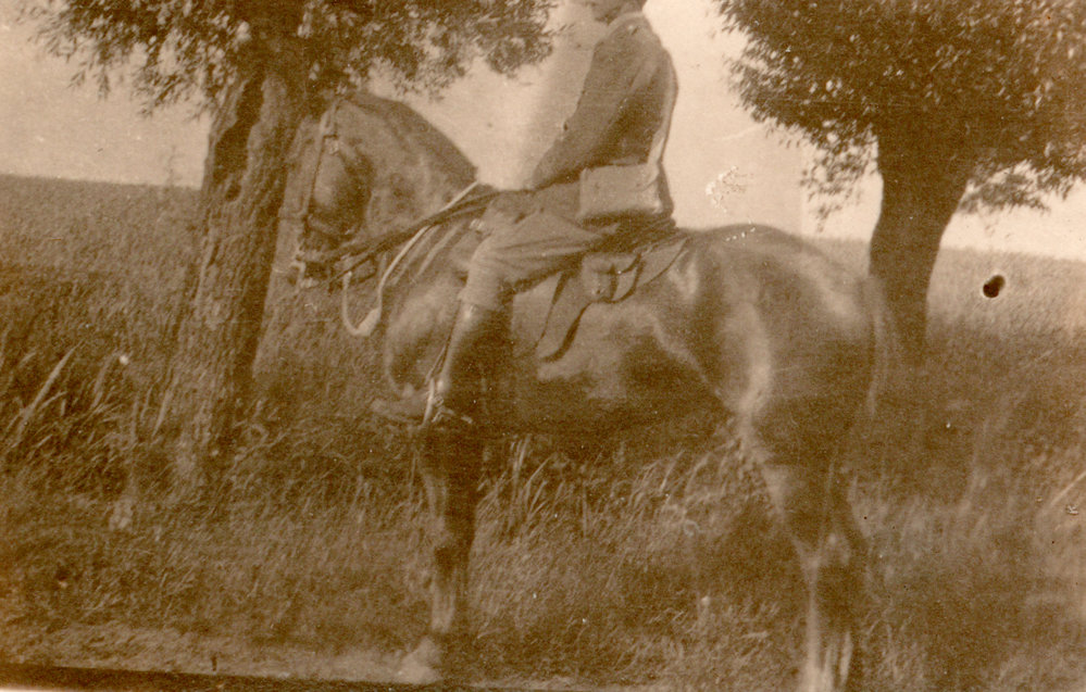 Photo from page 68 of album WWI Photograph Album- England, Egypt, Gallipoli and Western Front.