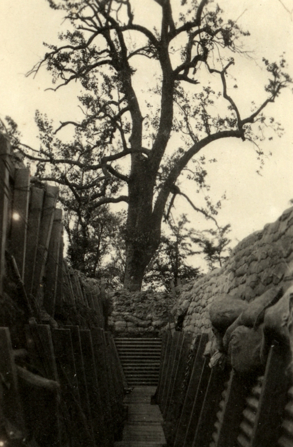 Photo from page 73 of album WWI Photograph Album- England, Egypt, Gallipoli and Western Front.