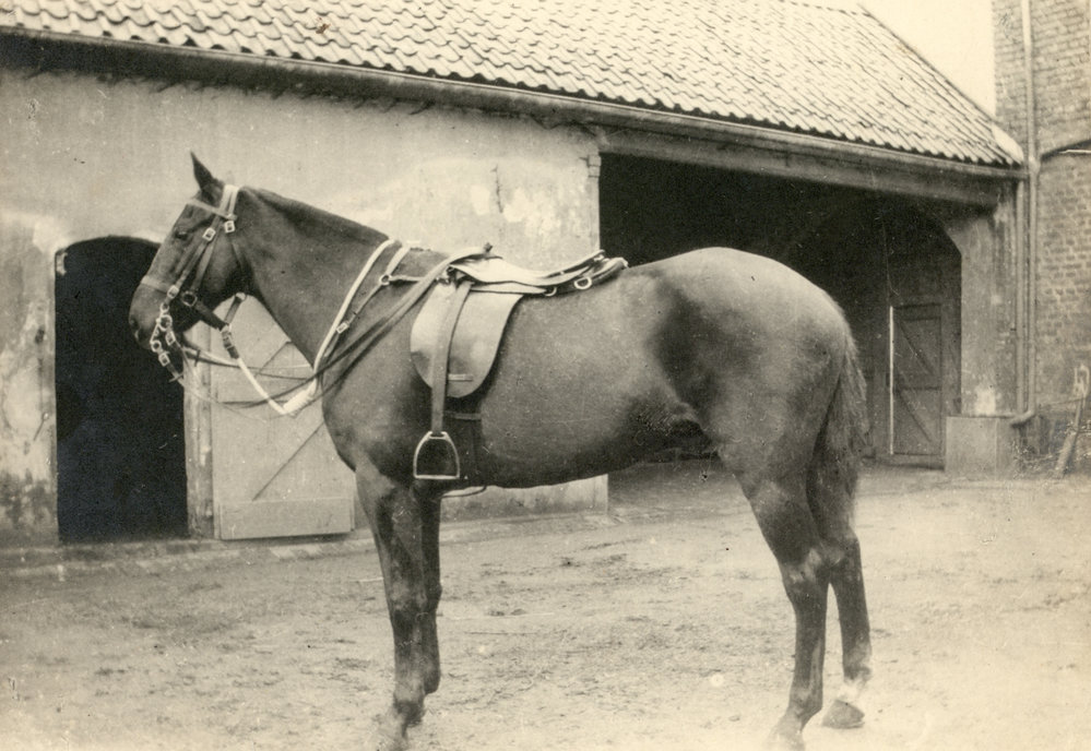 Photo from page 77 of album WWI Photograph Album- England, Egypt, Gallipoli and Western Front.