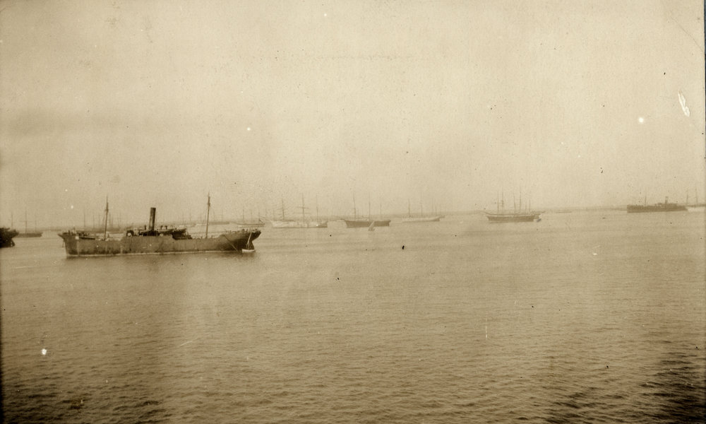 Photo from page 77 of album WWI Photograph Album- England, Egypt, Gallipoli and Western Front.