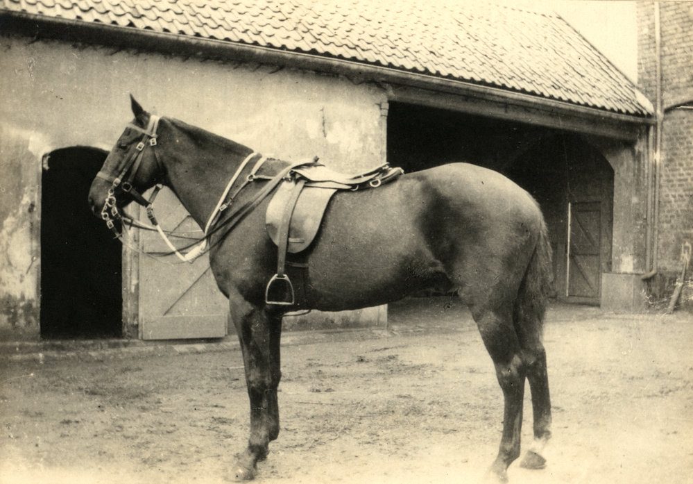 Photo from page 77 of album WWI Photograph Album- England, Egypt, Gallipoli and Western Front.