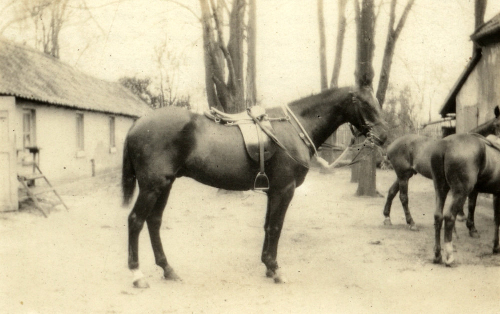 Photo from page 77 of album WWI Photograph Album- England, Egypt, Gallipoli and Western Front.