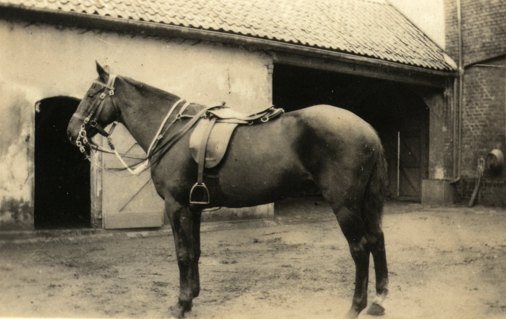 Photo from page 77 of album WWI Photograph Album- England, Egypt, Gallipoli and Western Front.