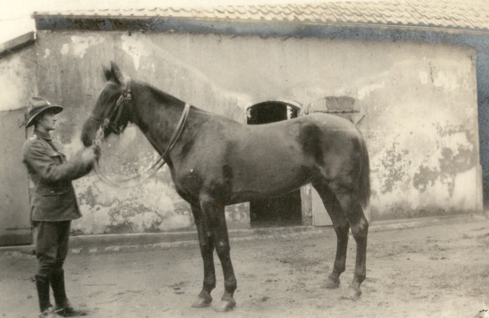 Photo from page 80 of album WWI Photograph Album- England, Egypt, Gallipoli and Western Front.