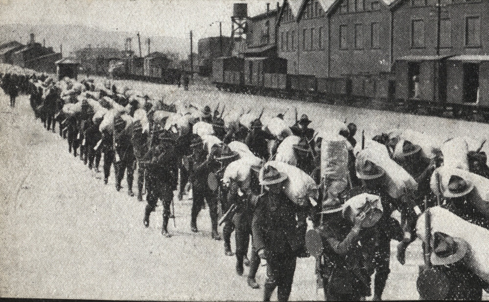 Photo from page 06 of album WWI Photograph Album- Egypt, Gallipoli and Western Front
