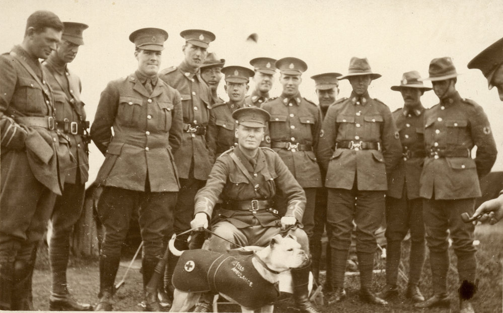 Photo from page 16 of album WWI Photograph Album- Egypt, Gallipoli and Western Front