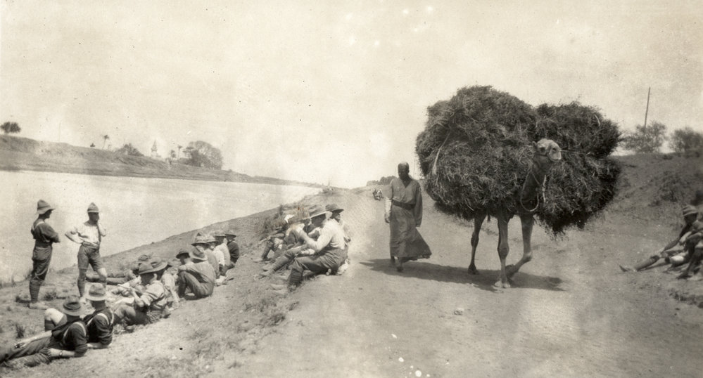 Photo from page 17 of album WWI Photograph Album- Egypt, Gallipoli and Western Front