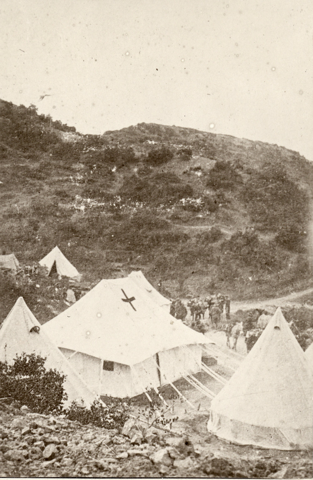 Photo from page 24 of album WWI Photograph Album- Egypt, Gallipoli and Western Front