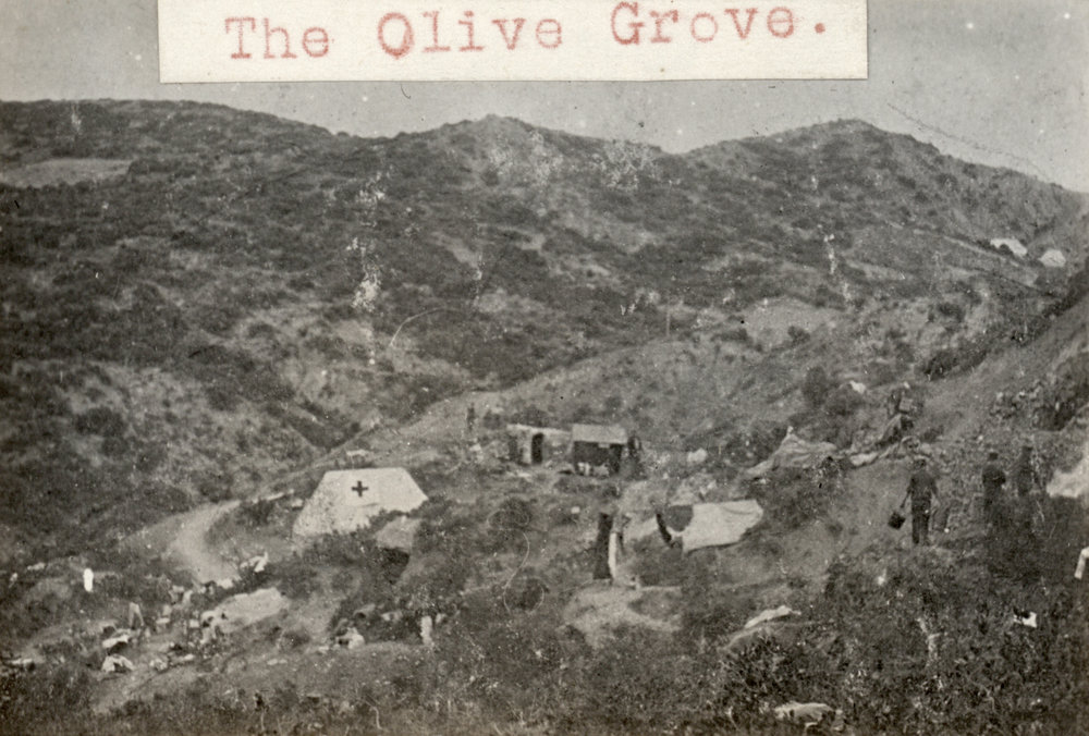 Photo from page 26 of album WWI Photograph Album- Egypt, Gallipoli and Western Front