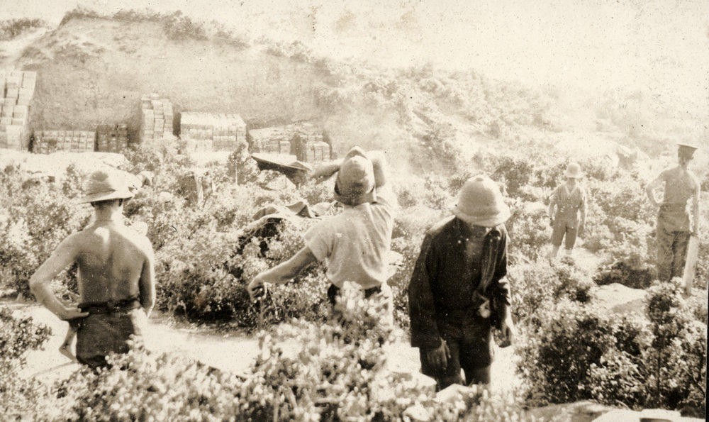 Photo from page 31 of album WWI Photograph Album- Egypt, Gallipoli and Western Front