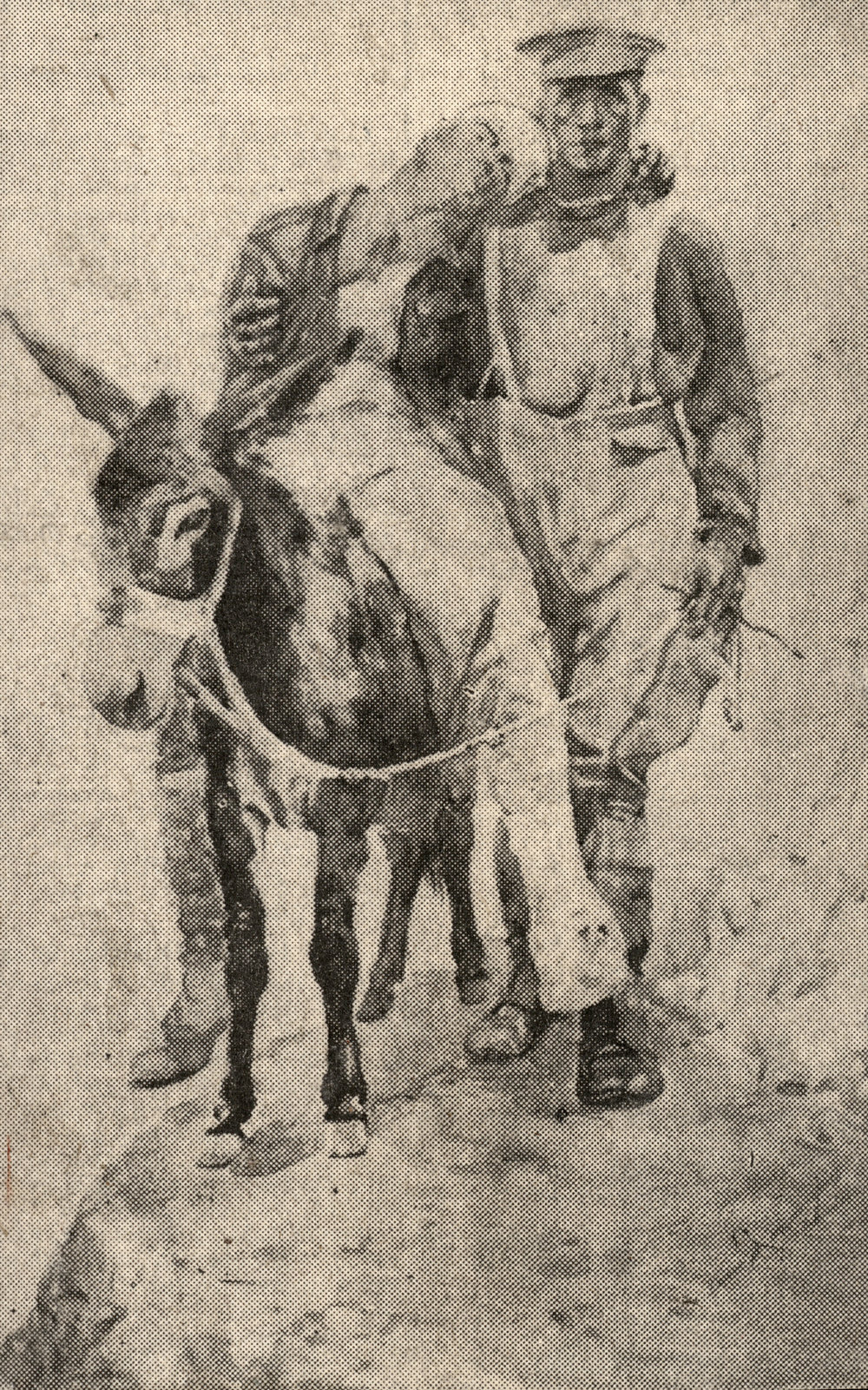 Photo from page 33 of album WWI Photograph Album- Egypt, Gallipoli and Western Front