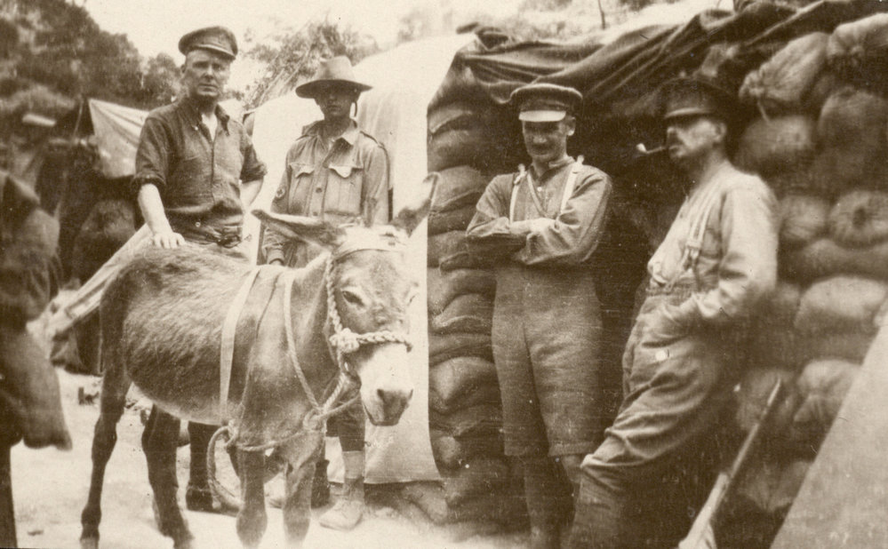 Photo from page 33 of album WWI Photograph Album- Egypt, Gallipoli and Western Front