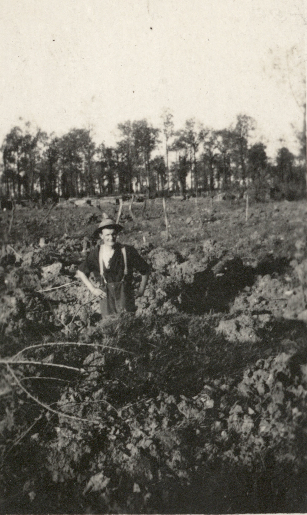 Photo from page 35 of album WWI Photograph Album- Egypt, Gallipoli and Western Front