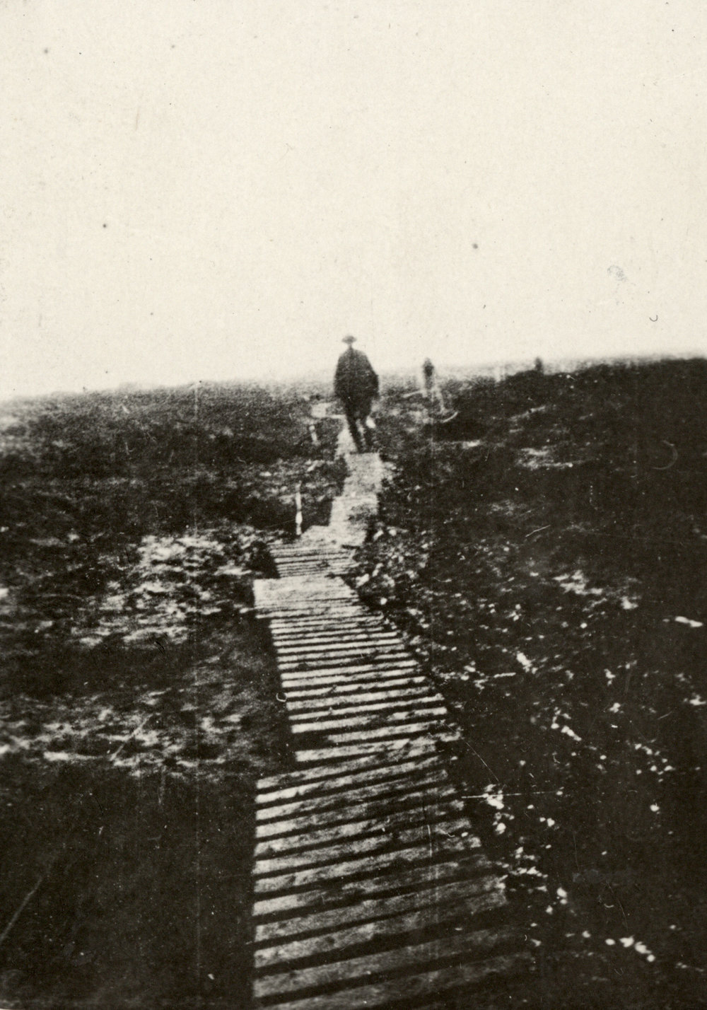 Photo from page 43 of album WWI Photograph Album- Egypt, Gallipoli and Western Front