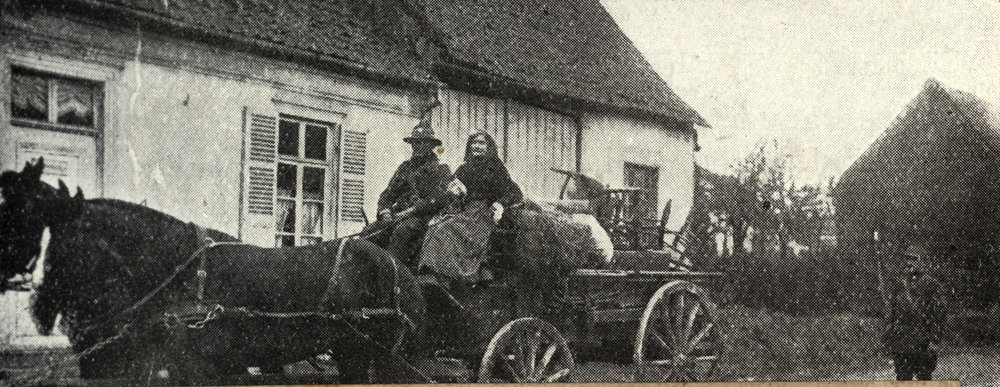 Photo from page 44 of album WWI Photograph Album- Egypt, Gallipoli and Western Front