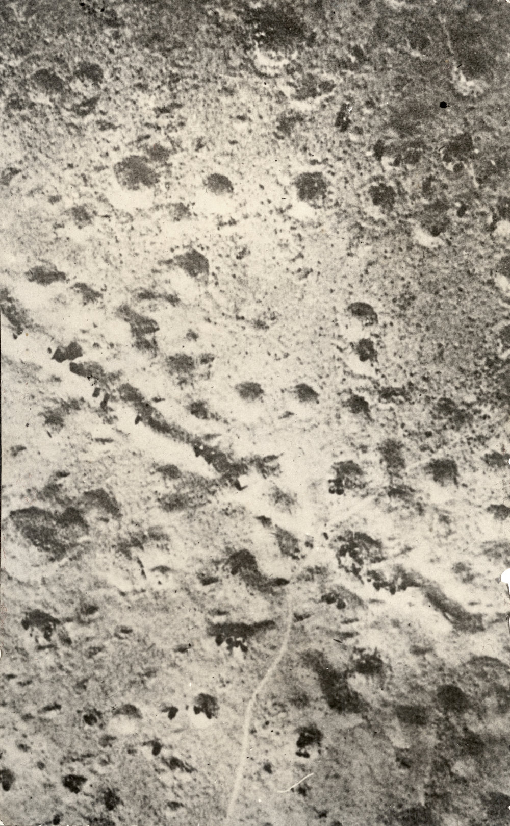 Photo from page 51 of album WWI Photograph Album- Egypt, Gallipoli and Western Front