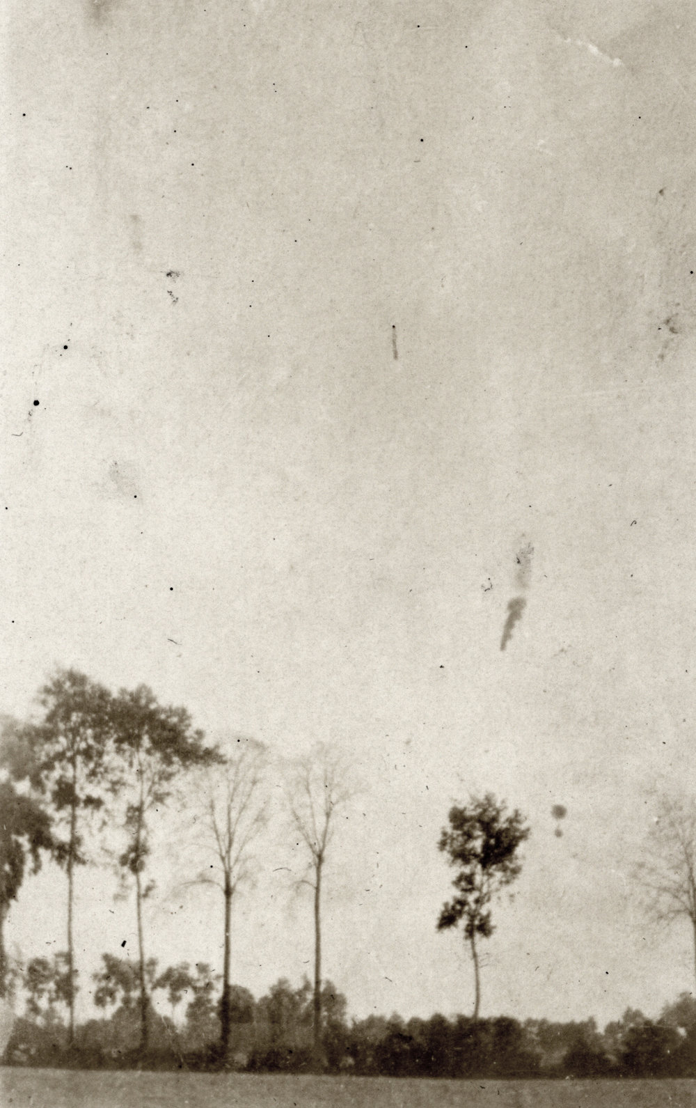 Photo from page 61 of album WWI Photograph Album- Egypt, Gallipoli and Western Front