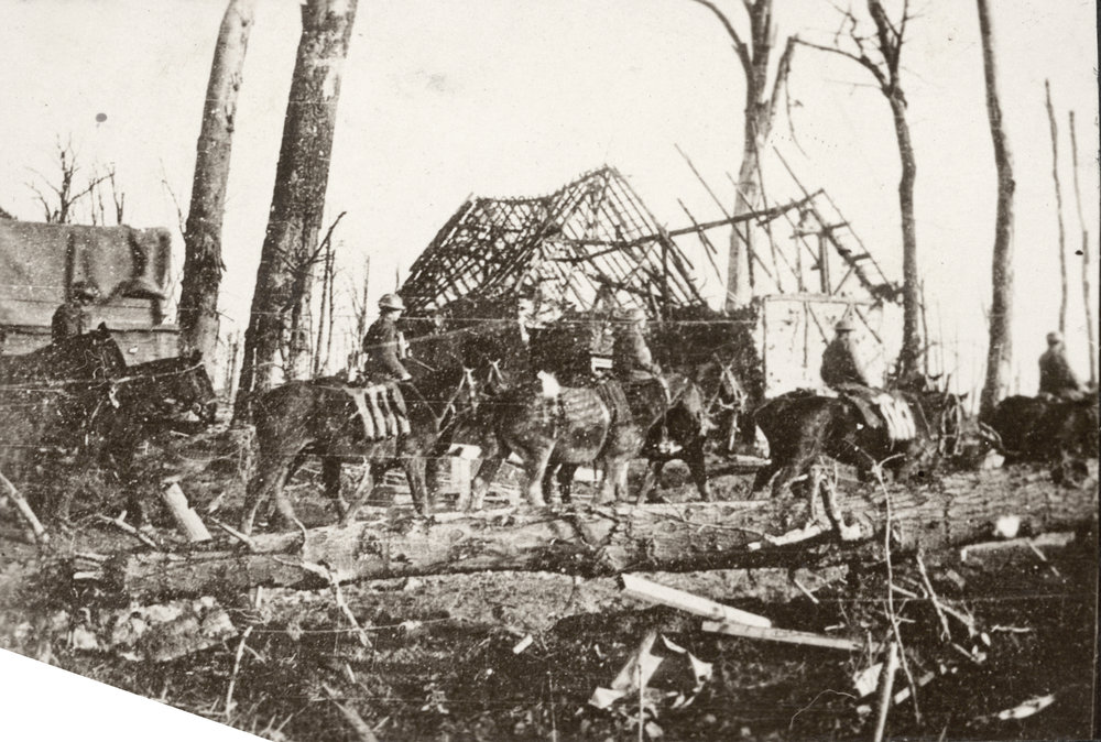 Photo from page 62 of album WWI Photograph Album- Egypt, Gallipoli and Western Front